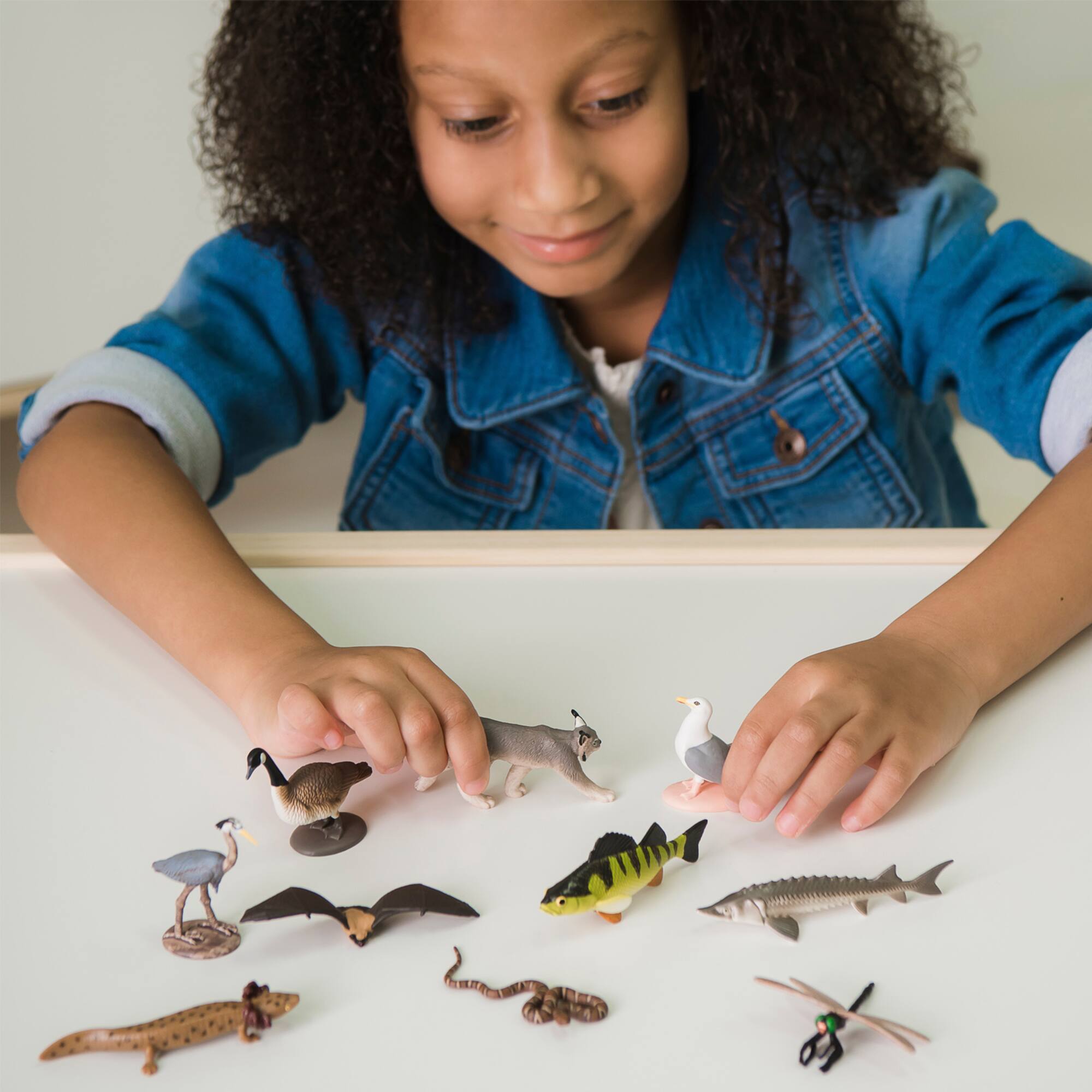 Safari Ltd® TOOB® Great Lakes